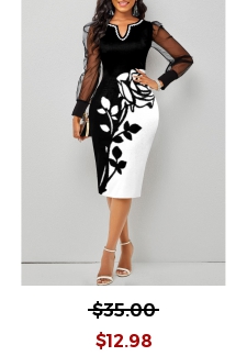 Mesh Stitching Black Floral Print Dress