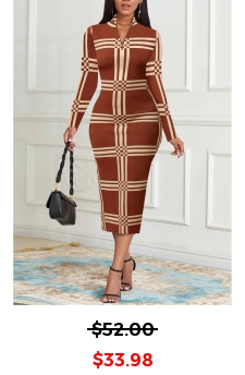 Striped Zipper Light Coffee Long Sleeve Dress